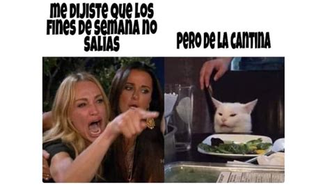 El Origen Del Meme Viral Del Gato Y La Mujer Quién Lo Creó Infobae