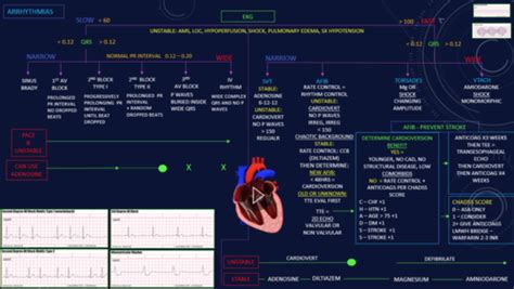 Acls Rhythms Flashcards Quizlet