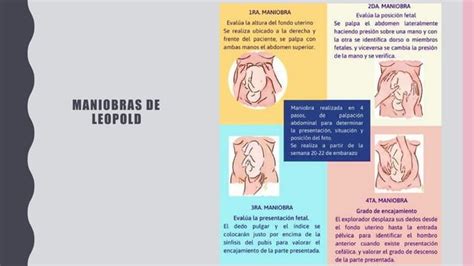 Parto Eut Cico Trabajo De Parto Est Tica Fetal Ppt