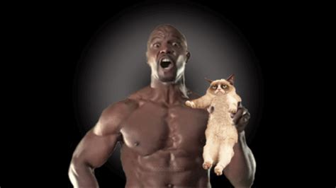 Terry Crews Power 