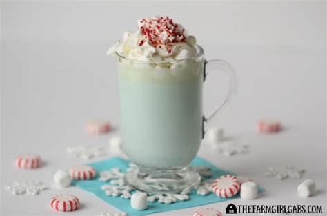 Elsa S Minty White Hot Chocolate The Farm Girl Gabs