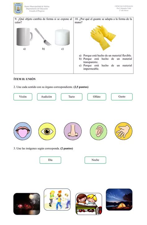 Evaluación diagnóstica Ciencias Naturales 2 año básico profe social