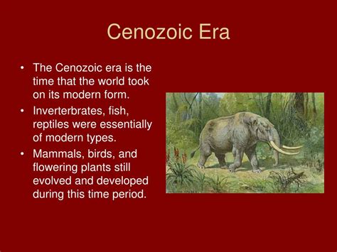 Ppt Cenozoic Era The Age Of Mammals Powerpoint Presentation Free