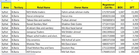 Professional B2B Lead Generation Services to Your Sales