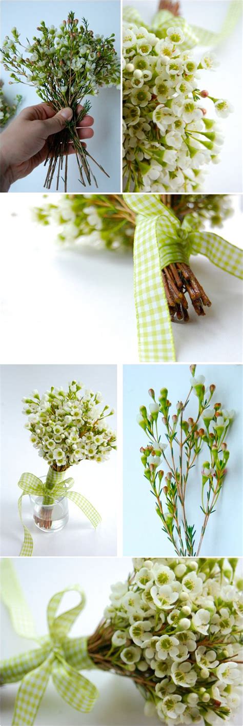 DIY: Waxflower Bouquet | Wedding flowers summer, Bride flowers, White wax flower