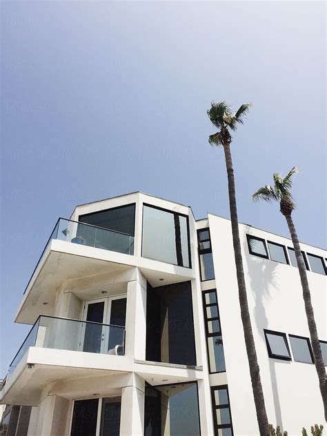 Exterior Of Modern White House With Palm Trees By Stocksy Contributor