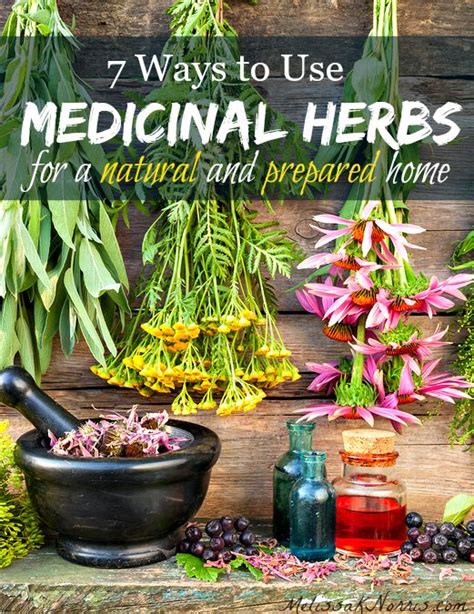 7 Ways to Use Medicinal Herbs at Home – Melissa K. Norris