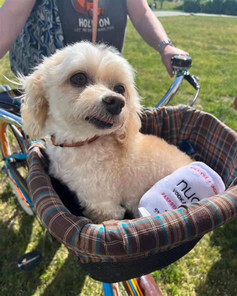 Nude Releases Summer Pack To Raise Funds For Alberta Spca Eat Drink