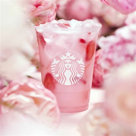 Starbucks Pink Drink What It Is And How Much It Costs Tastylicious