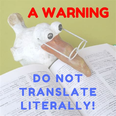 Dangers Of Translating Literally In French Viva Language Services