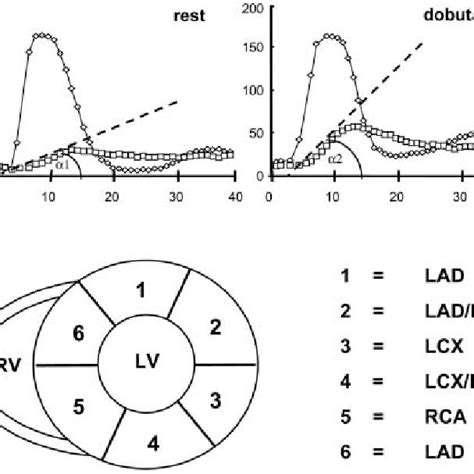 The Six Evaluated Myocardial Segments Of The Left Ventricular Download Scientific Diagram