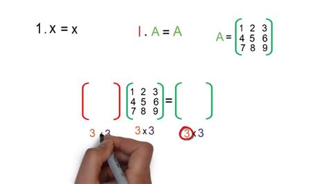 Todo Lo Que Necesitas Saber Sobre La Matriz Fila Definici N