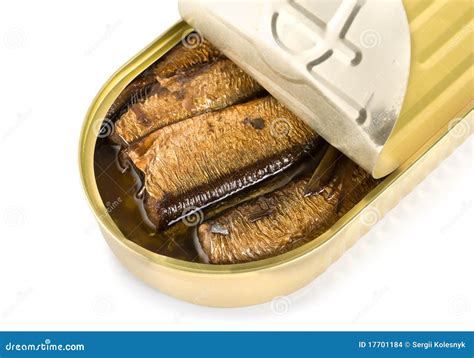 Canned Sardines Isolated Stock Photo Image Of Metallic 17701184