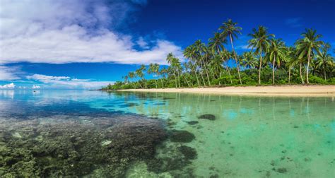 Tropical beach on Samoa Island with palm trees - PADI Pros