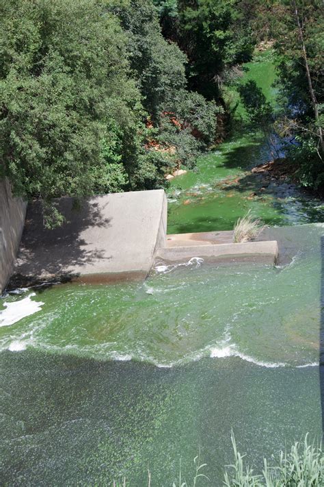 Water Flowing Over Dam Wall Free Stock Photo Public Domain Pictures