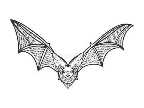 Flying Bat Sketch Vector Illustration Stock Vector - Illustration of vampire, retro: 177352732