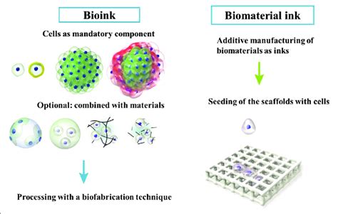 Difference Between Bioink And Biomaterial Ink In Bioink Cells Are