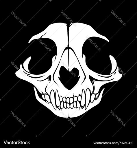 White animal skull on a black background Vector Image