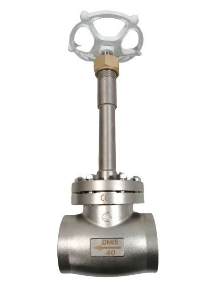 Liquid Ammonia Ss304 Ss316 Cryogenic Globe Valve