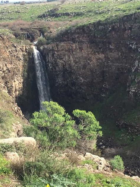 Gamla Nature Reserve - Tripping in Israel