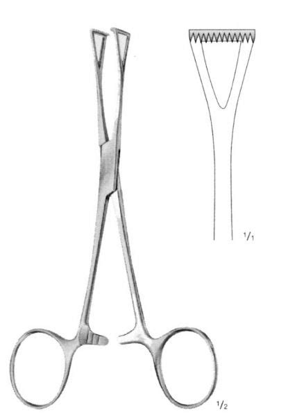 COLLIN INTESTINAL FORCEPS 140MM