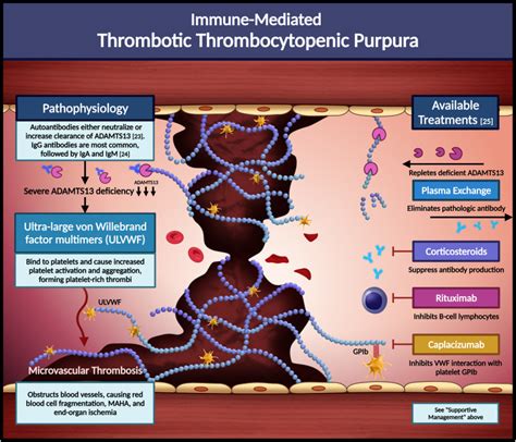 Thrombotic Microangiopathies An Illustrated Review Research And