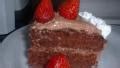 Fat Free Chocolate Cake Recipe - Food.com