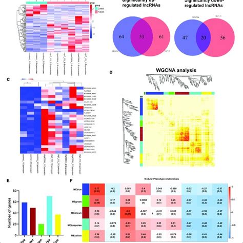 Integrative Analysis Of Differential Lncrnas Expression Profiling And