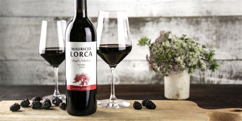 Mauricio Lorca Angels Selection Malbec Nakedwines