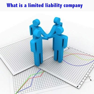 Limited Liability Company | Young Lawyer