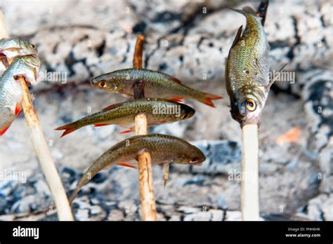 Grilled fish on the fire Stock Photo - Alamy