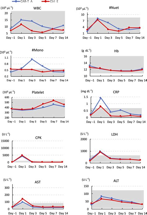 Representative Data Of Complete Blood Counts And Blood Chemistry Of