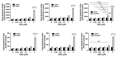 Effect Of Orf Orf Or M Protein Expression With And Without Cbd