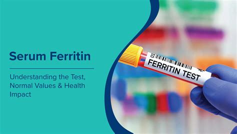 Serum Ferritin Test: Normal Range, Low & High Levels and How to