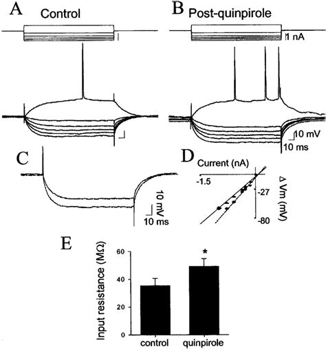 DA D2 receptor activation enhances neuronal excitability.... | Download ...