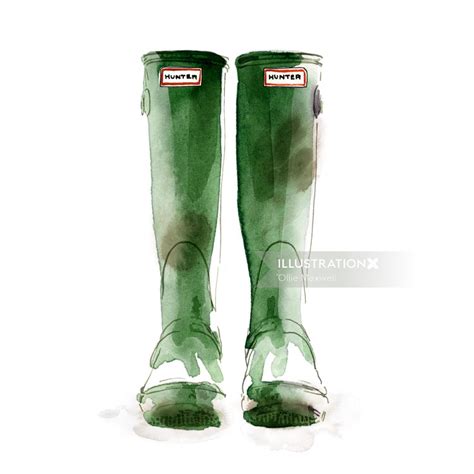 Wellingtons Illustration By Ollie Maxwell