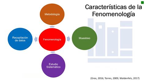 Caracteristicas Del Metodo Fenomenologico Prodesma