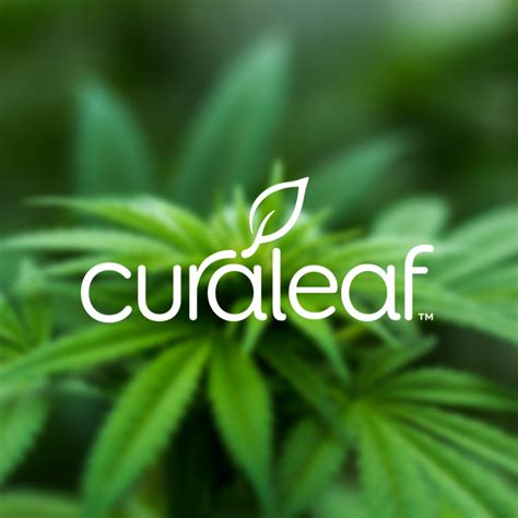 Feds Taking Stock Of Curaleaf Headquest