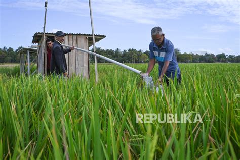 Pemanfaatan PLTS Untuk Irigasi Sawah Di Kupang Home Nusantara Post