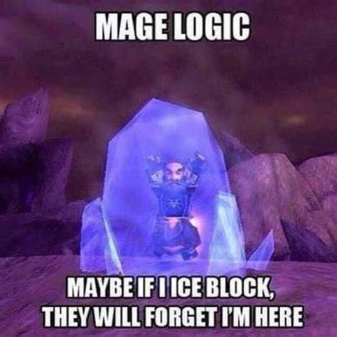 Vanillaclassicwow Mage Logic Follow World Of Warcraft Warcraft Funny World Of Warcraft Game