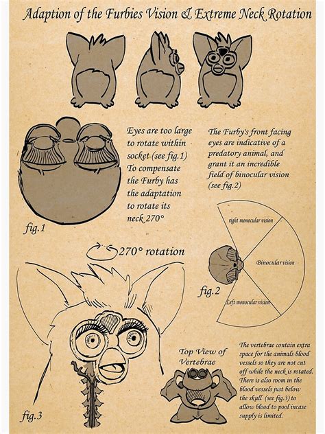 "Furby anatomy" Poster for Sale by Netoey | Redbubble