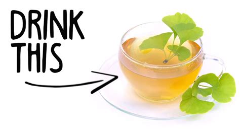 Why You Should Drink Ginkgo Biloba Tea Youtube