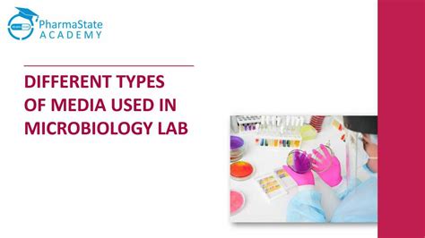 Different Types Of Media Used In Microbiology Labs