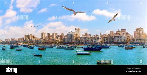 Alexandria egypt skyline cityscape hi-res stock photography and images - Alamy