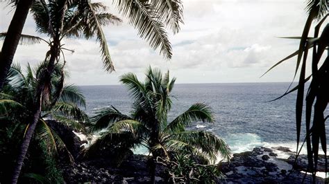 Just 50 People Live on Pitcairn Island, One of the Remotest Places on ...