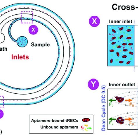 Results From Inertial Separation Of Unbound Aptamers Due To The Dean