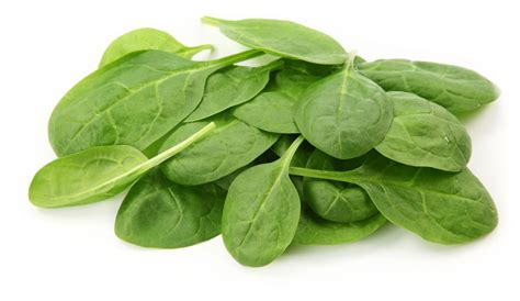 SPINACH LEAVES - Jabco Foods