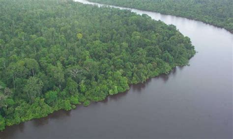 Three benefits of Indonesia's permanent ban on forest clearance