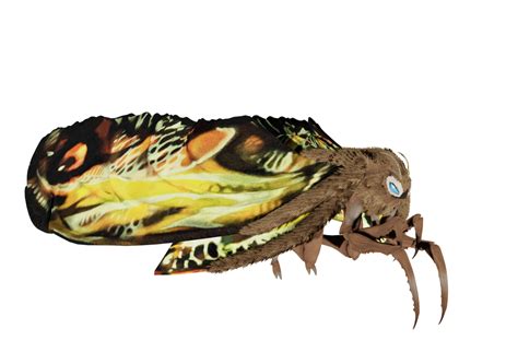 Mothra 2019 Transparent Render 5 By Godzillasuper2021 On Deviantart