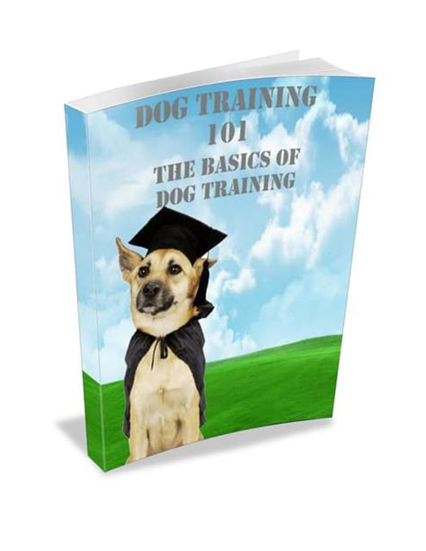 Dog training 101 - Learn The Techniques The Dog Training Schools Use | PDF